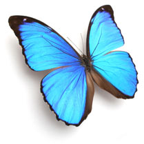 DNA Theta Healing